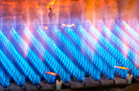 Borrodale gas fired boilers
